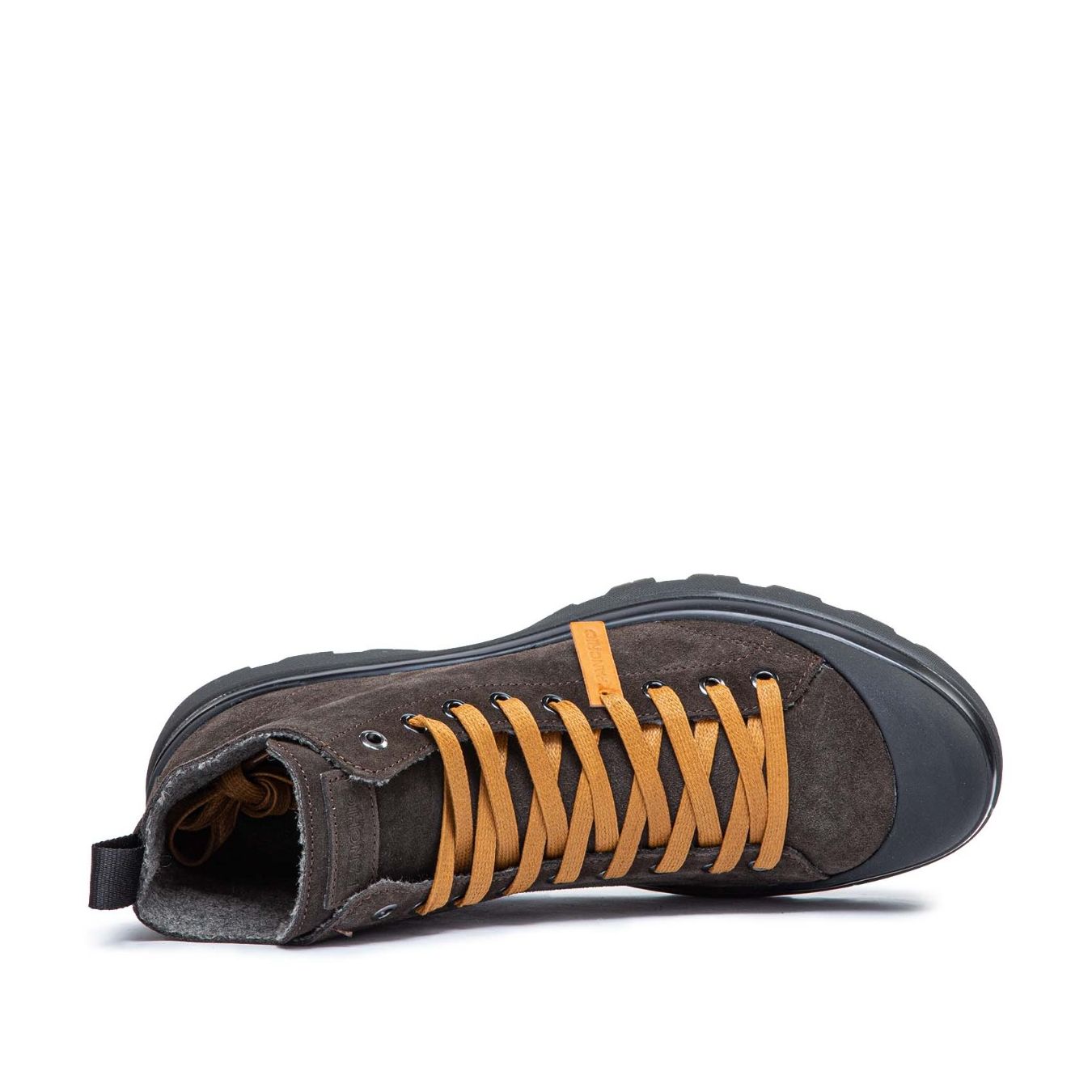 polacco panchic p03 