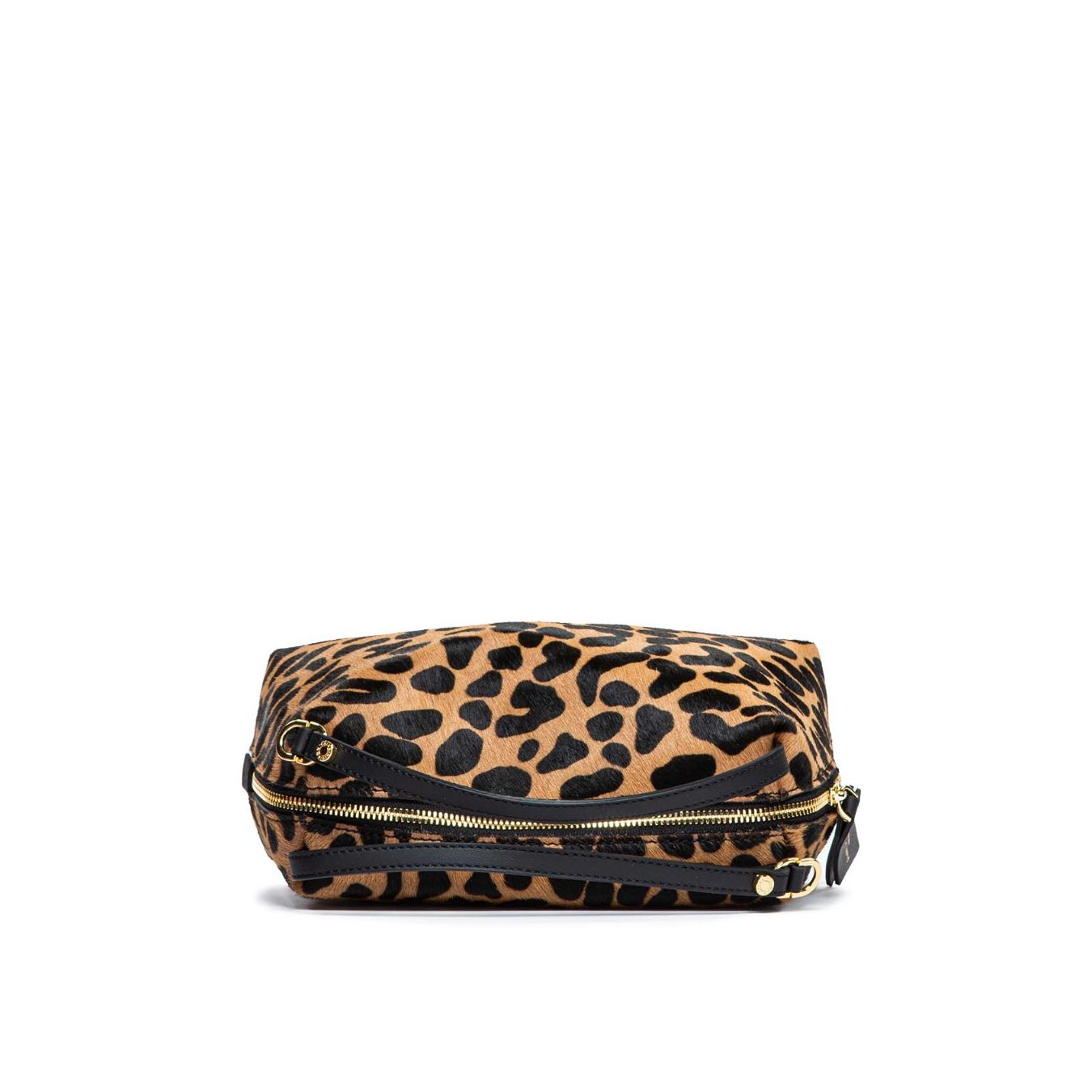 ※訳あり GIANNI CHIARINI ALIFA BS8148 CAV ALIFA LEOPARD GIANNI CHIARINI ALIFA BS 8788 CST-TKL-3615