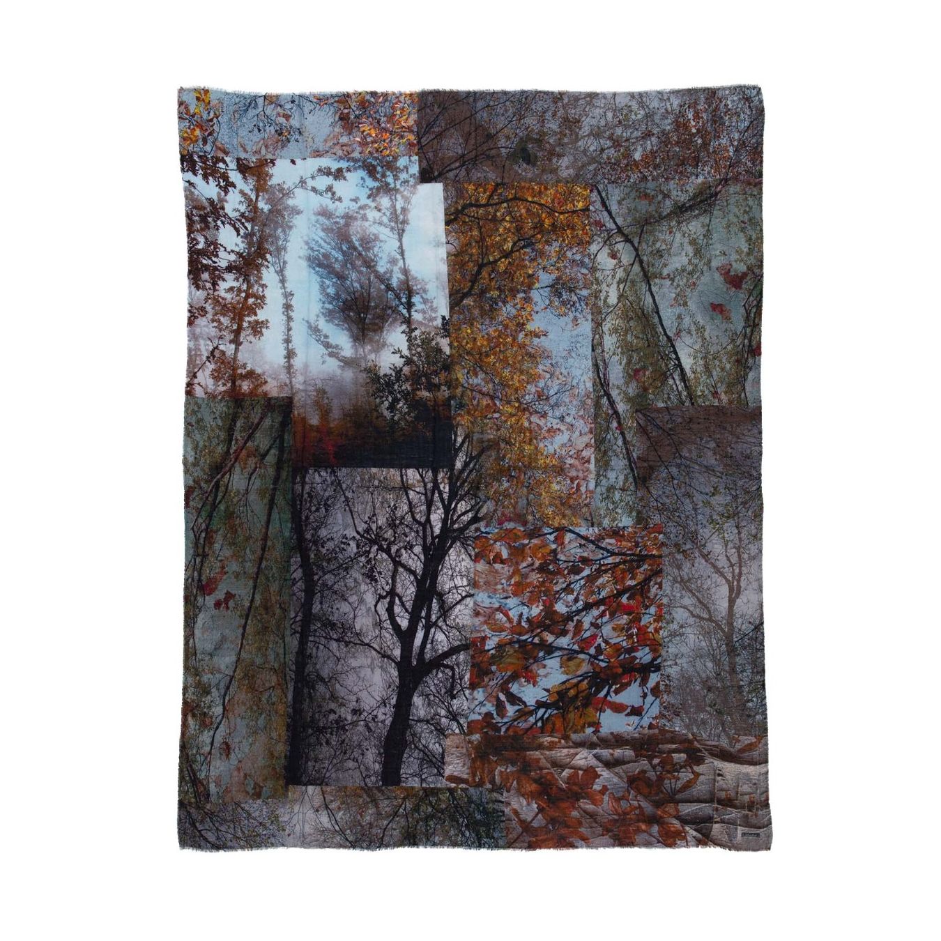 fantasia alberi sciarpa faliero sarti